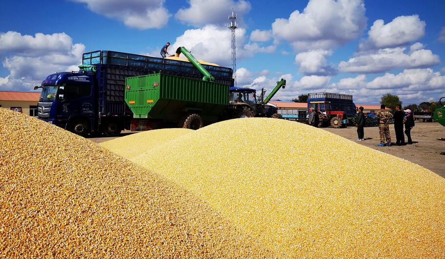 今年中國災(zāi)害頻發(fā)為何還能糧食豐收？農(nóng)業(yè)農(nóng)村部回應(yīng)