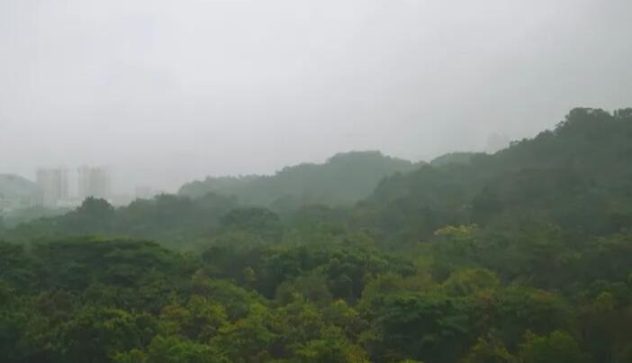 冷空氣正在趕來！最低氣溫降至21℃ 深圳能否成功入秋？