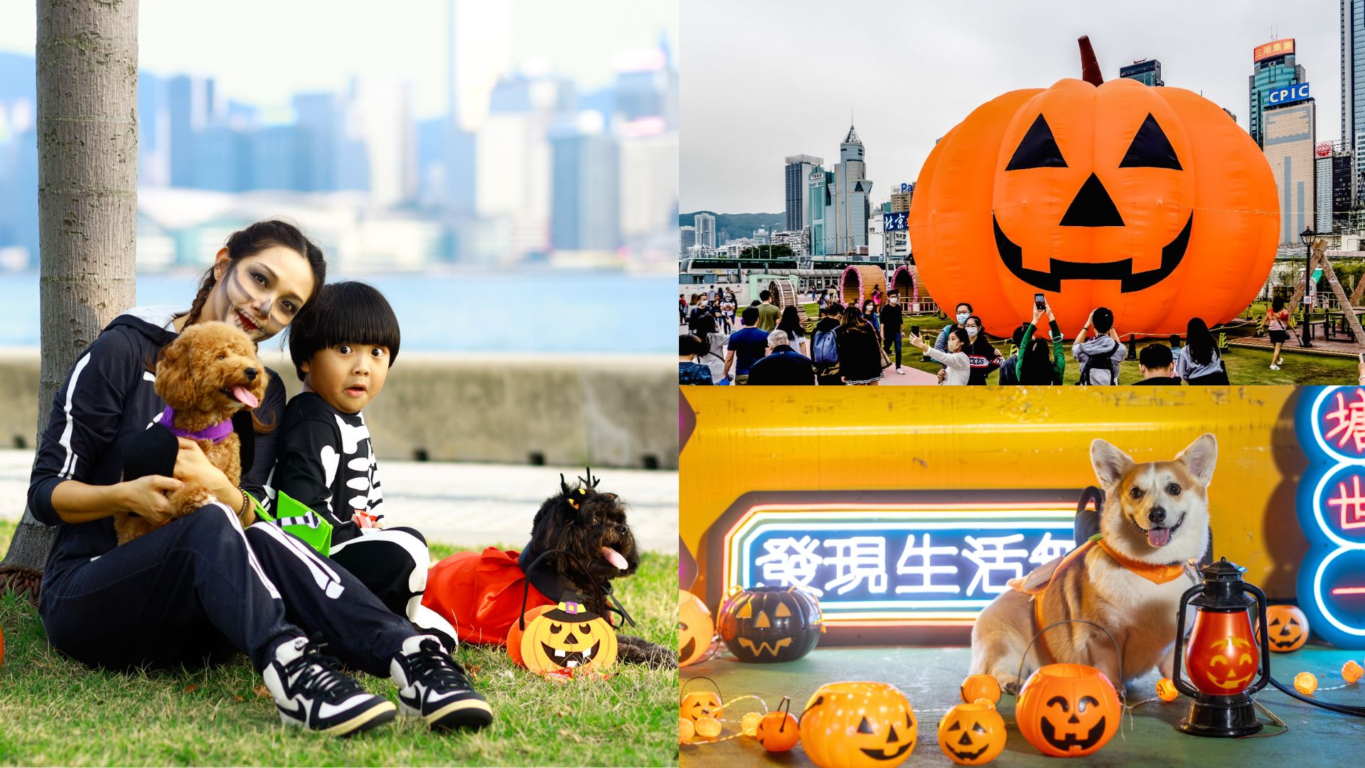 【玩樂(lè)】萬(wàn)聖節(jié)活動(dòng)合集 集合一家大小毛孩好去處