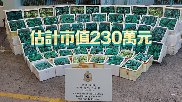 海關(guān)及食環(huán)署於文錦渡檢獲3.4噸走私大閘蟹 拘一貨車司機