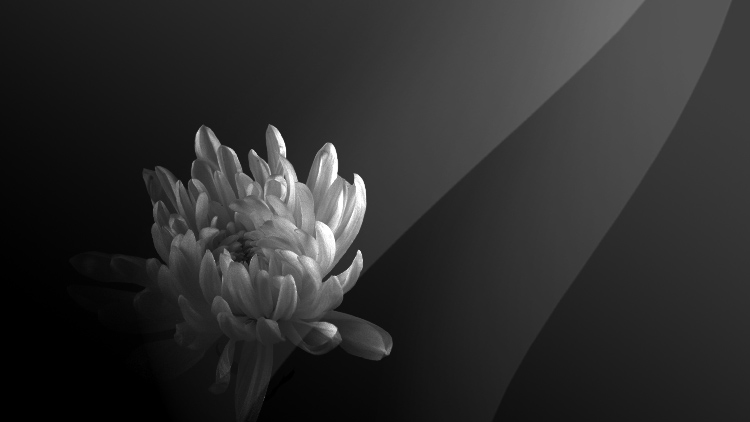 李克強(qiáng)同志生平