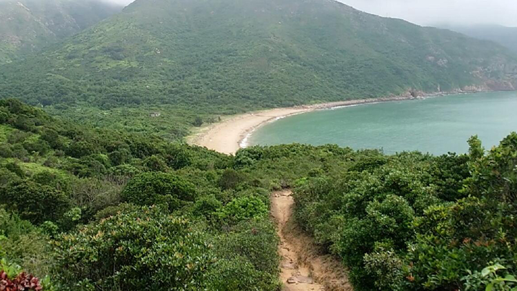 新一輪大嶼山保育基金批出15項目 涉款5000萬