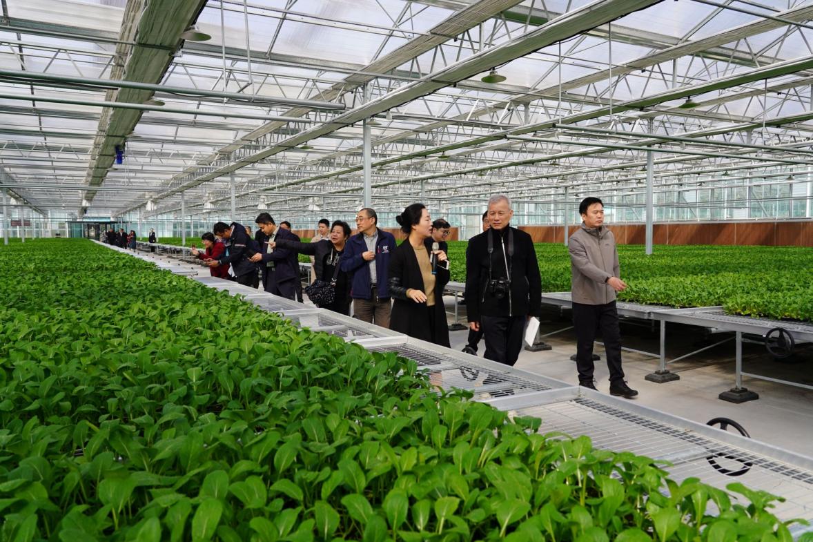 科技興農  運城步入現(xiàn)代農業(yè)發(fā)展的快車道