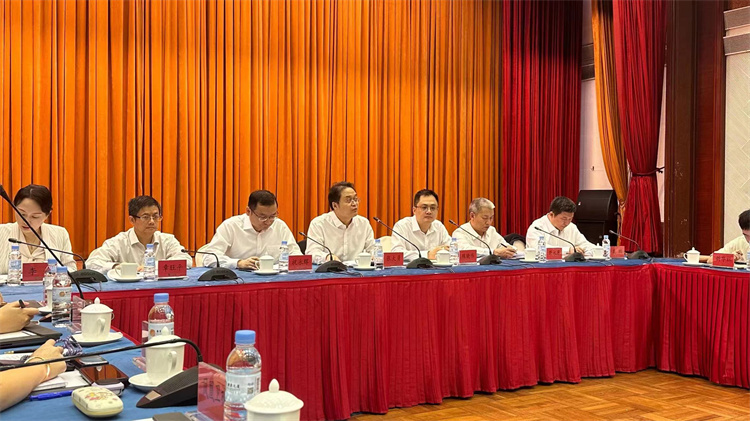 四大合作平臺齊發(fā)力  粵港澳大灣區(qū)建設成果豐碩