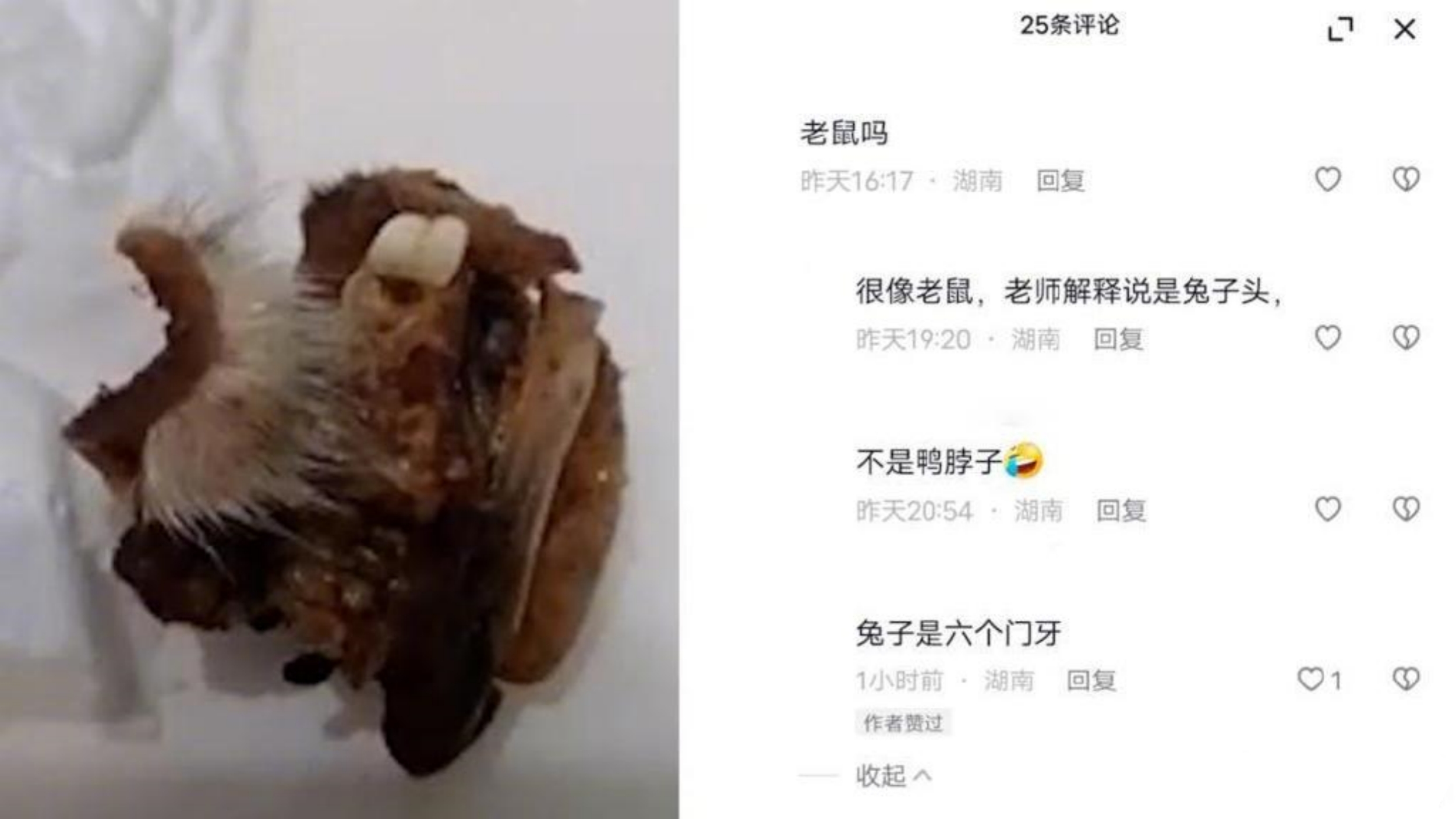 湖南懷化一小學(xué)食堂吃出「鼠頭」？當?shù)爻闪⒙?lián)合調(diào)查組開展調(diào)查