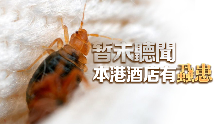 崔定邦：本港酒店房務(wù)清潔水準(zhǔn)高 毋須太擔(dān)心會(huì)出現(xiàn)床蝨