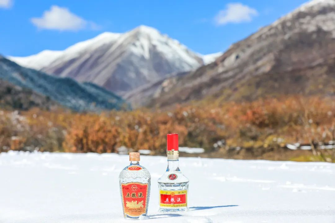 探尋岷江之韻 五糧液唱響綠色低碳時(shí)代強(qiáng)音