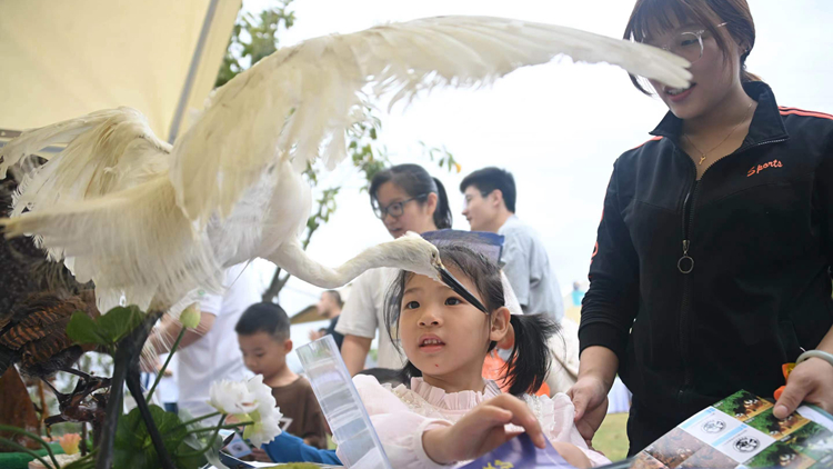 深圳啟動(dòng)野生動(dòng)物保護(hù)宣傳月活動(dòng)：保護(hù)野生鳥類，共建綠美深圳