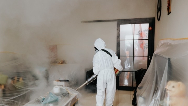 臺(tái)南登革熱逼近2萬(wàn)例