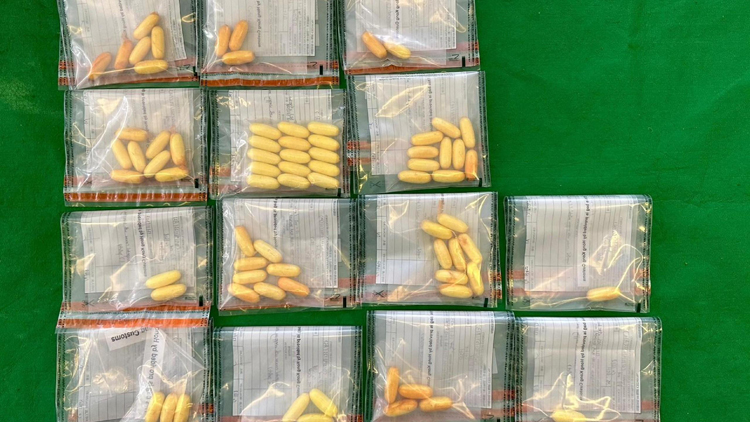 海關(guān)機場檢值110萬元懷疑可卡因 拘捕一名入境旅客