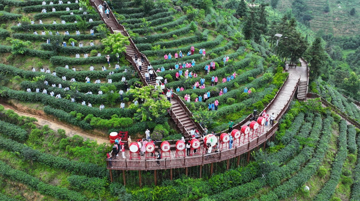 廣東茶葉產(chǎn)業(yè)大會(huì)將在河源紫金舉行