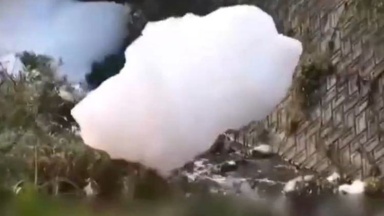 日本多地檢測出高濃度可致癌物質(zhì)