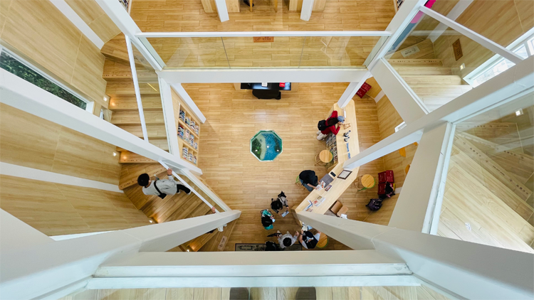 鹽田，深圳的後花園