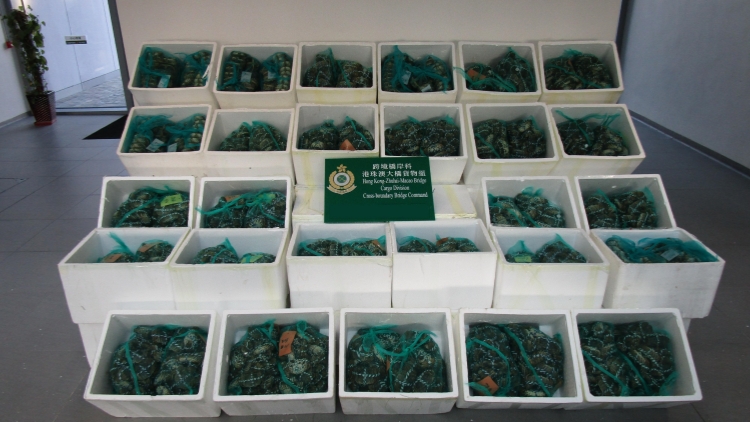 海關(guān)檢獲6400隻走私大閘蟹市值約39萬元