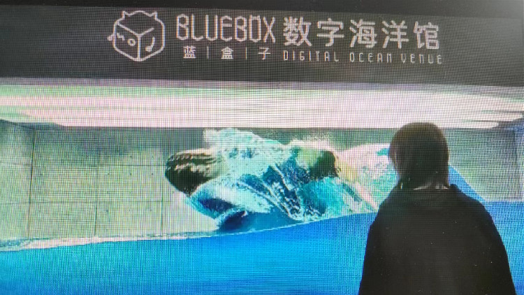 揮手召喚座頭鯨 海洋元宇宙產(chǎn)品驚艷海博會