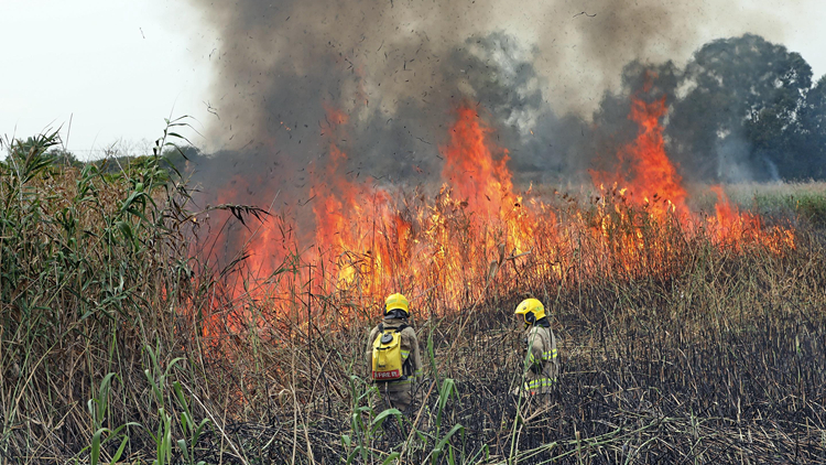 天文臺發(fā)出紅色火災危險警告 籲市民小心防止山火