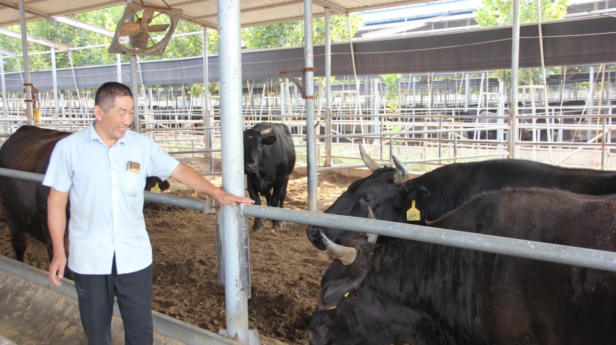 【粵港澳媒體看山東】如此牧業(yè)有點(diǎn)「?！? title=