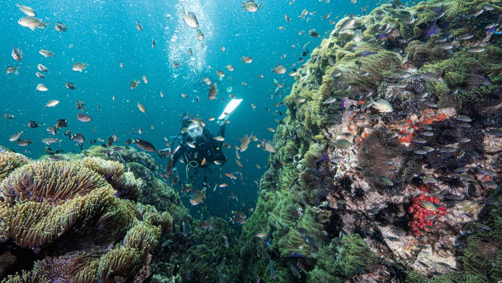 【旅遊】泰旅局香港與購(gòu)物平臺(tái)合推獎(jiǎng)賞活動(dòng)