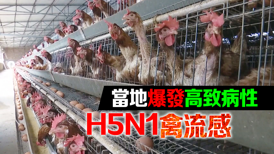 本港暫停進口比利時和德國部分地區(qū)禽肉及禽類產(chǎn)品