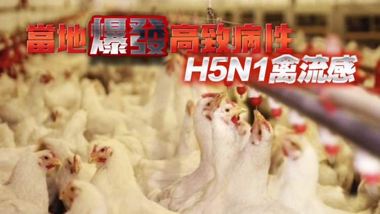 本港暫停進口美國南達科他州Day縣禽肉及禽類產(chǎn)品