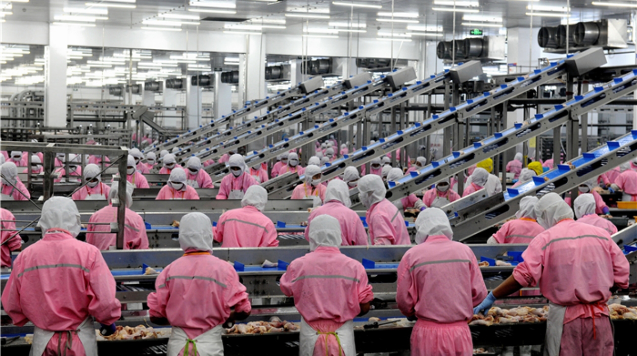 實(shí)業(yè)之城山東濱州：一城囊括海陸之鮮