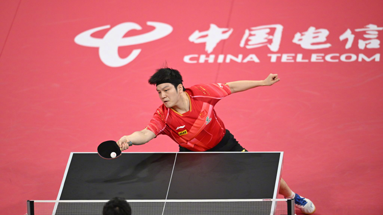 祝賀！混團(tuán)世界盃國乒奪冠