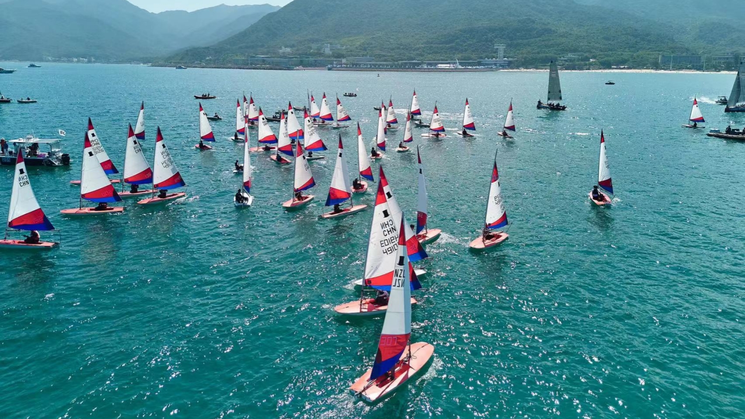 深圳大鵬： 「國際範」為城區(qū)高質(zhì)量發(fā)展賦能