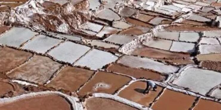 聯(lián)合國(guó)報(bào)告：氣候異常威脅拉美和加勒比生物多樣性 