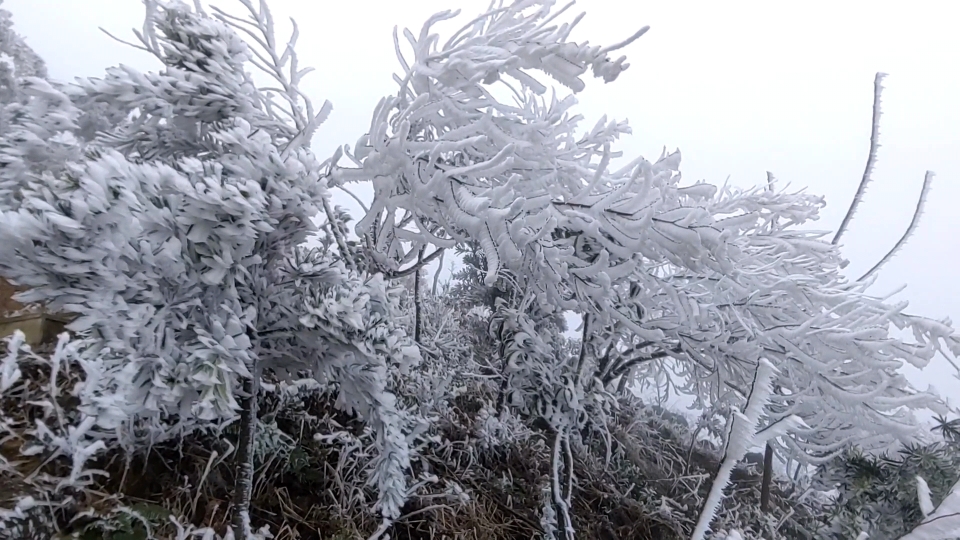美不勝收！廣東樂昌多地現(xiàn)霧凇景觀