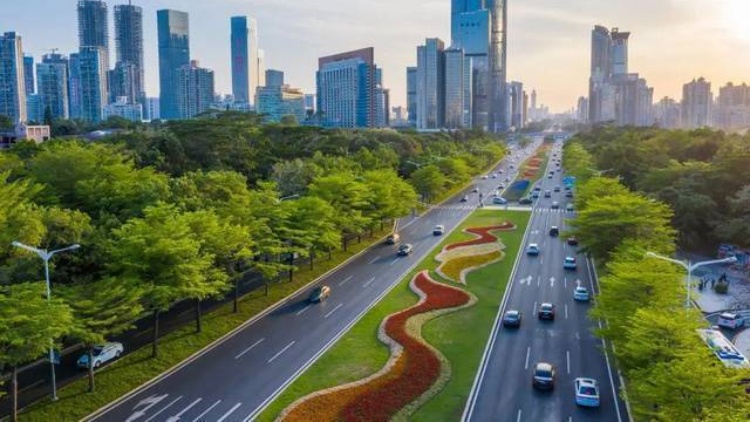 深圳擬放寬車(chē)牌申請(qǐng)條件