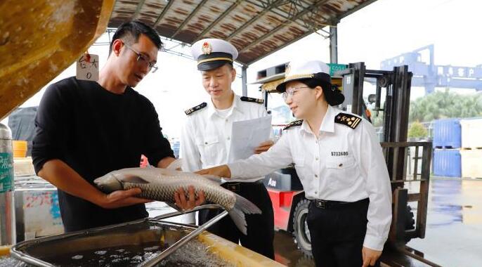 前11個(gè)月廣東對(duì)澳門(mén)進(jìn)出口達(dá)140.4億元