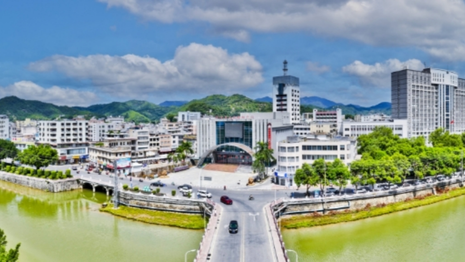 河源紫金：生態(tài)茗茶 百強縣域 被蟲咬過的紫金蟬茶成灣區(qū)珍品