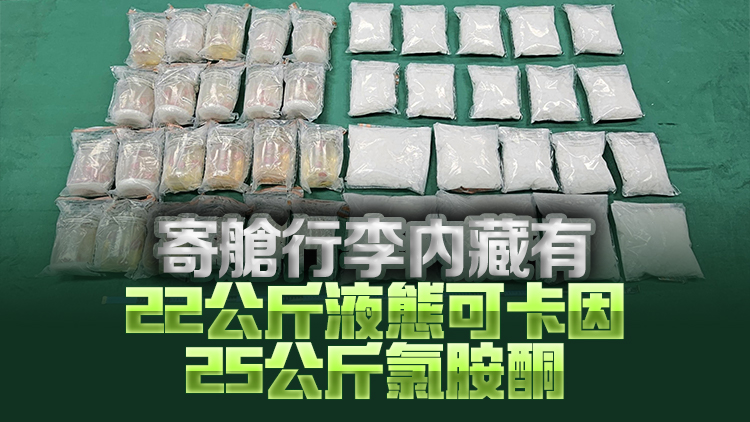 2男女攜毒品經(jīng)北歐返港 市值3600萬元