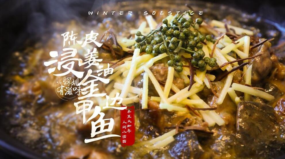 有片 | 【深圳有滋味(雙語版)】第52期：冬至大如年 當(dāng)甲魚遇上陳皮生薑