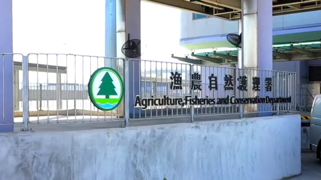 漁護署：綠翅鴨屍體對H5N1禽流感呈陽性反應(yīng)