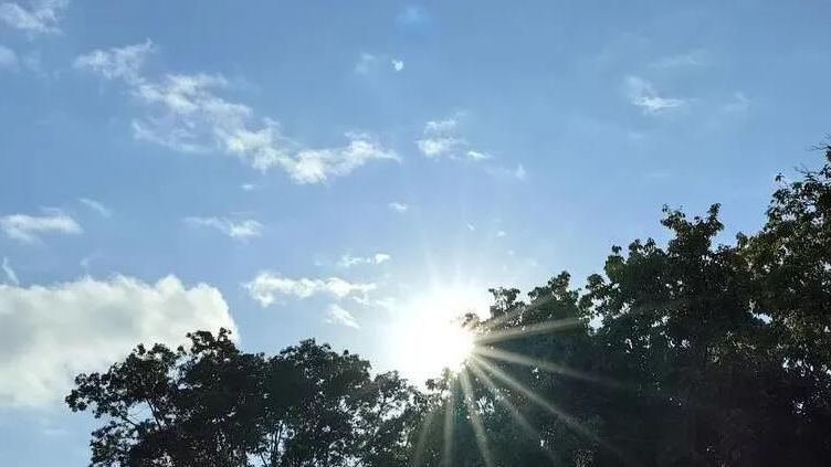 「壓線」入冬成功！然而才官宣就要回暖？本周深圳氣溫或又回「2」字頭