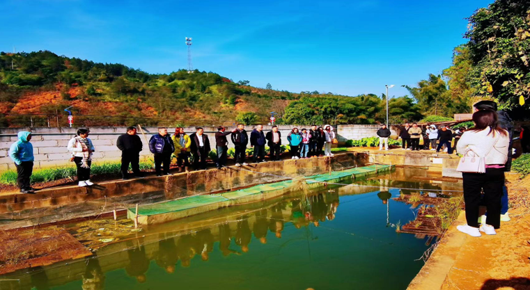 助力鄉(xiāng)村振興！灣區(qū)河源市縣商會到龍川考察