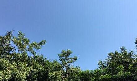 中央氣象臺：冷空氣勢力不強大部地區(qū)氣溫回升 華北黃淮等地有霾天氣