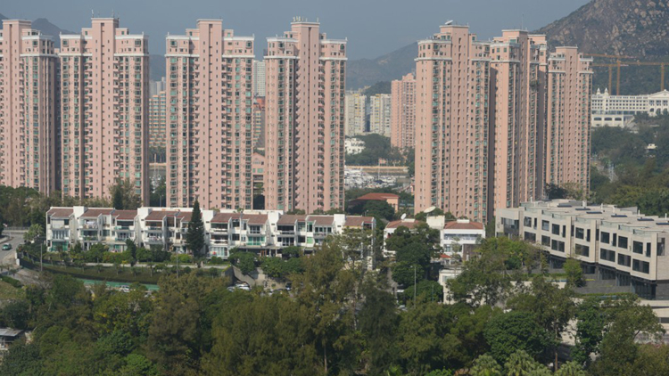 測(cè)量師：蟠龍半島僭建範(fàn)圍大及複雜 促政府加強(qiáng)檢控及罰則