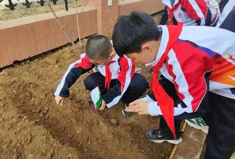 營口：「勞動教育實踐基地」讓學(xué)生擁有豐富體驗