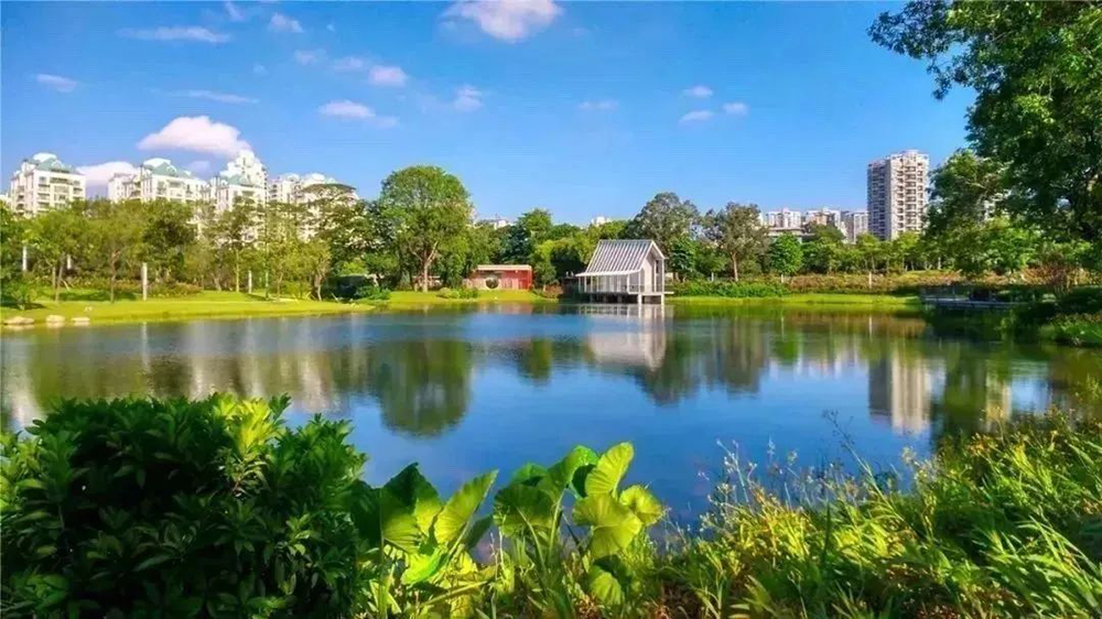 元旦起開放，深圳福田免費(fèi)露營公園+1