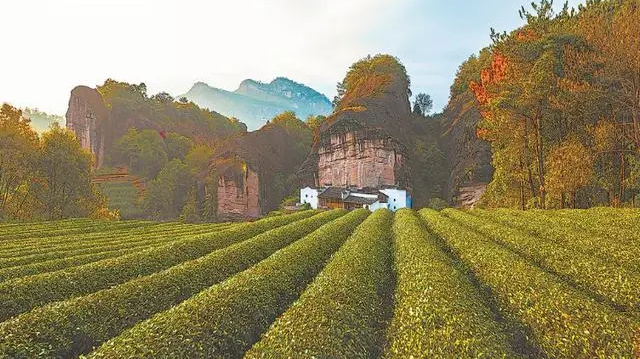 「世界的臺灣」？不過是民進(jìn)黨當(dāng)局「去中國化」的新騙術(shù)罷了