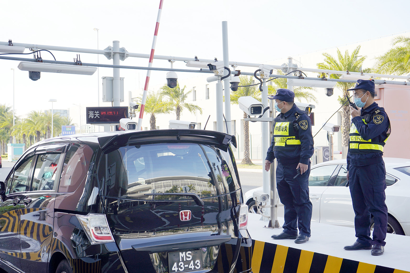 港澳單牌車過半！港珠澳大橋2023年客車通車量超268萬輛次