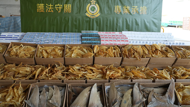海關(guān)葵涌偵破以遠(yuǎn)洋船走私貨物案 檢值600萬(wàn)花膠魚(yú)翅等