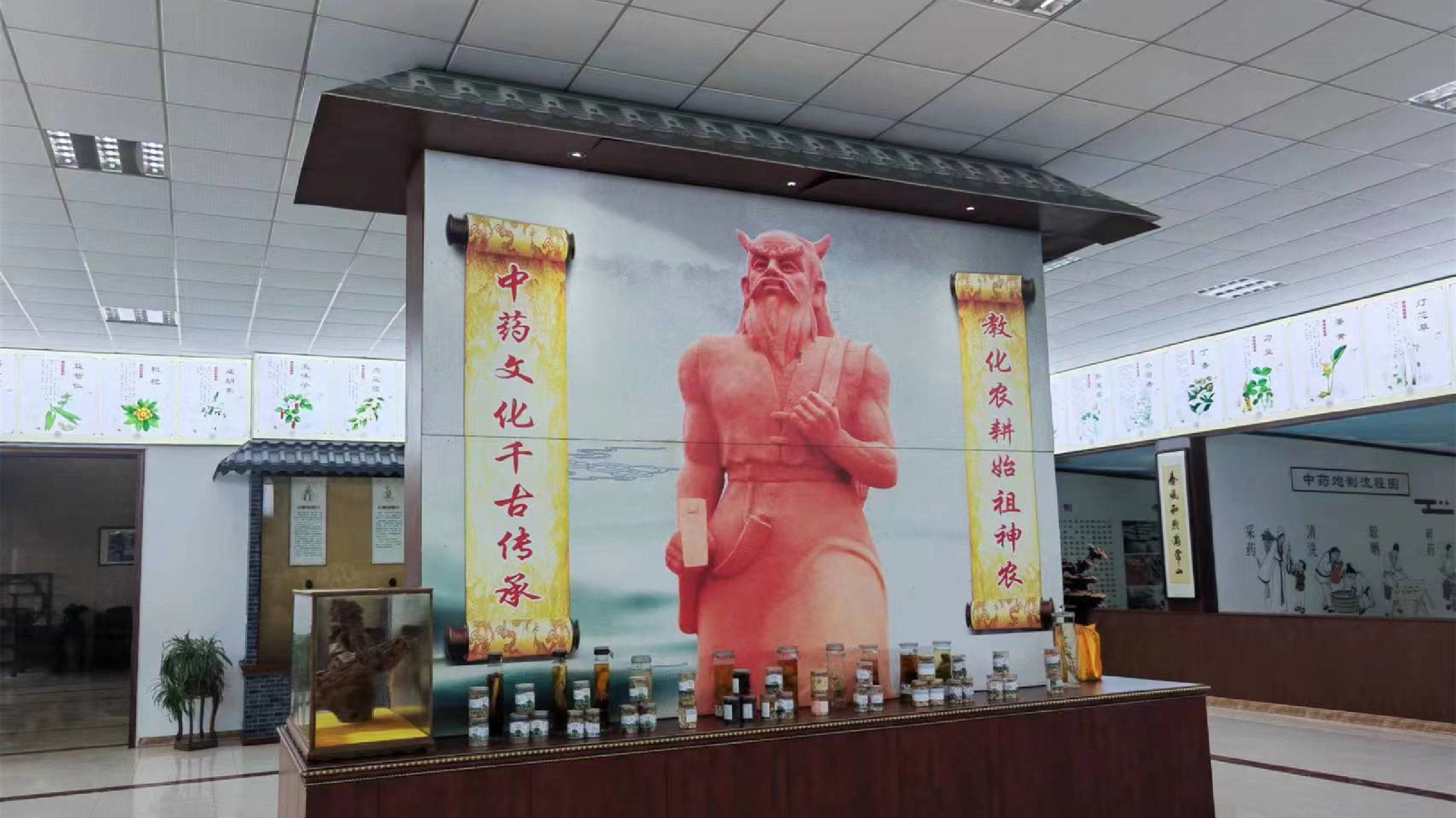 【醫(yī)耀華夏】湖南安仁縣重點(diǎn)發(fā)展中藥材產(chǎn)業(yè)  打響「神農(nóng)藥都」品牌