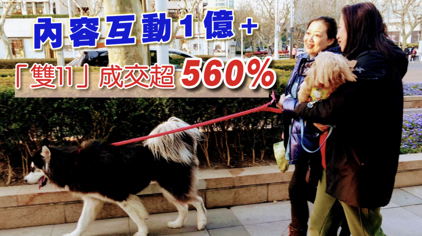 【市場(chǎng)巡禮】消費(fèi)者寄情於寵  寵物經(jīng)濟(jì)「異軍突起」？