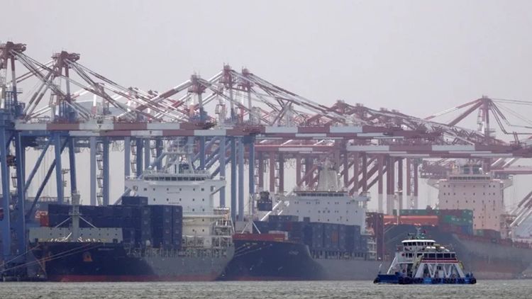 【商報(bào)圖說】臺(tái)灣出口近年表現(xiàn)如何？