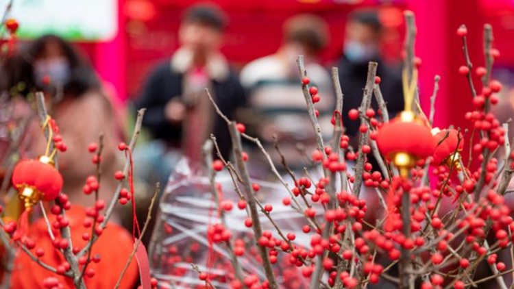 深圳愛國路迎春花市2月3日開市 相關(guān)路段交通將臨時調(diào)整