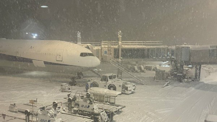 突發(fā)！國泰航空與大韓航空飛機日本新千歲機場相撞 暫無人受傷