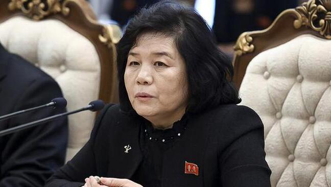 俄羅斯外長拉夫羅夫與朝鮮外務(wù)相崔善姬舉行會談